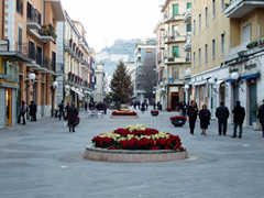 Cosenza